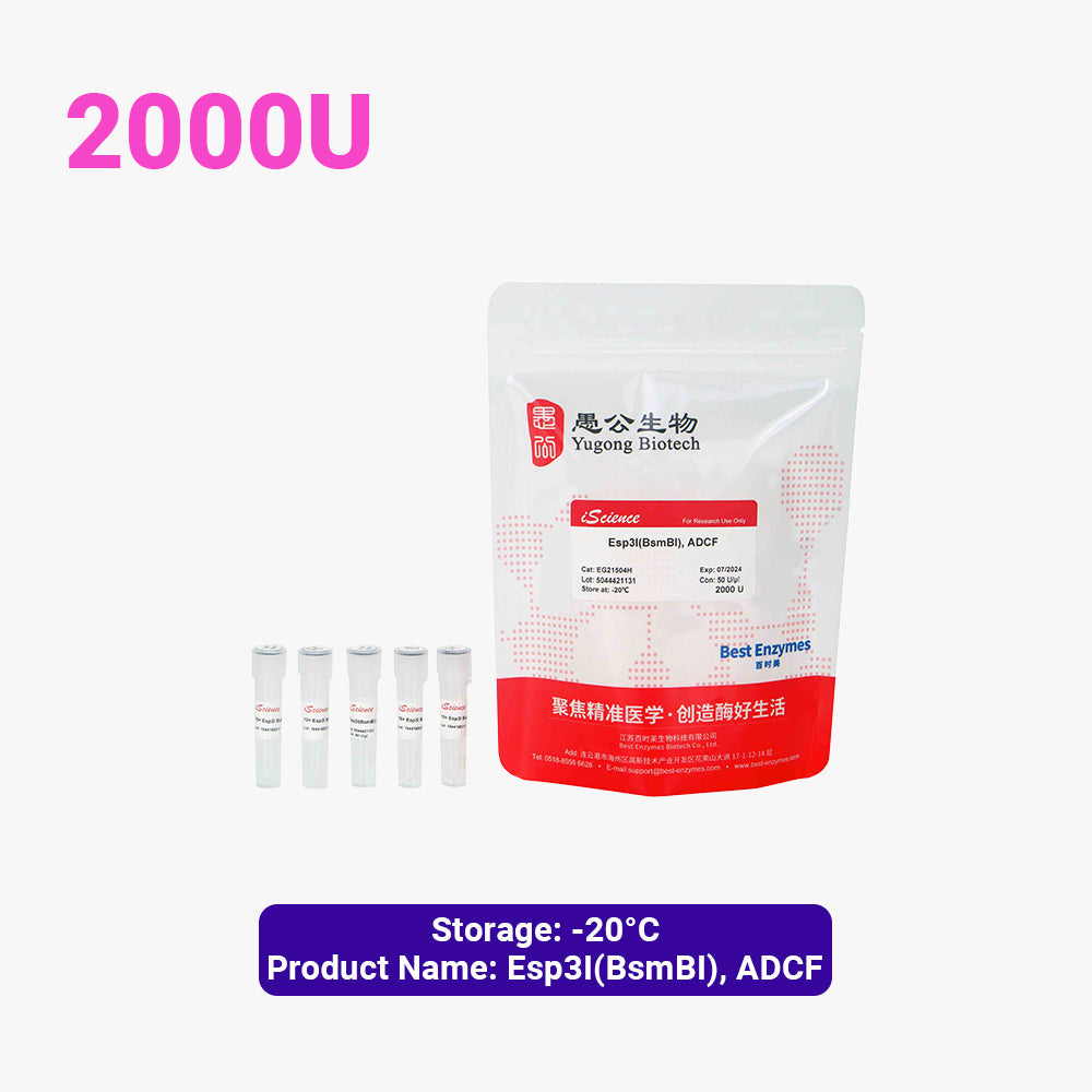 Esp3I（BsmBI），ADCF限制性酶，2000 U，50 U/μl