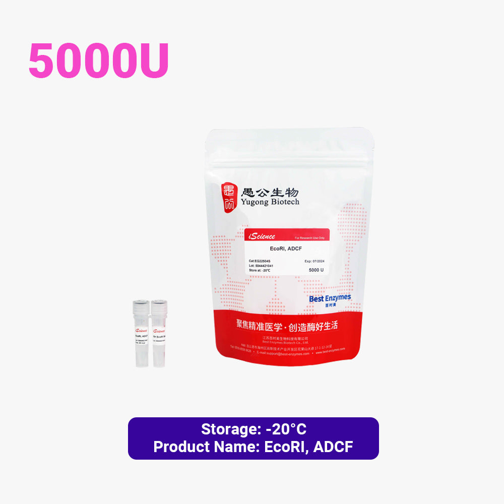 EcoRI，ADCF 限制性酶，5000 U，20 U/ul