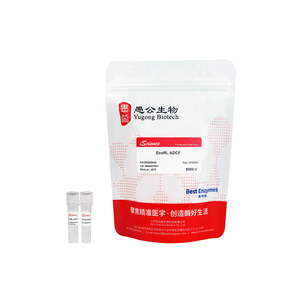 EcoRI，ADCF 限制性酶，5000 U，20 U/ul
