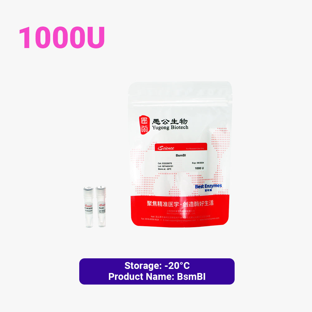 BsmBI 限制酶，1000 U，10 U/μl