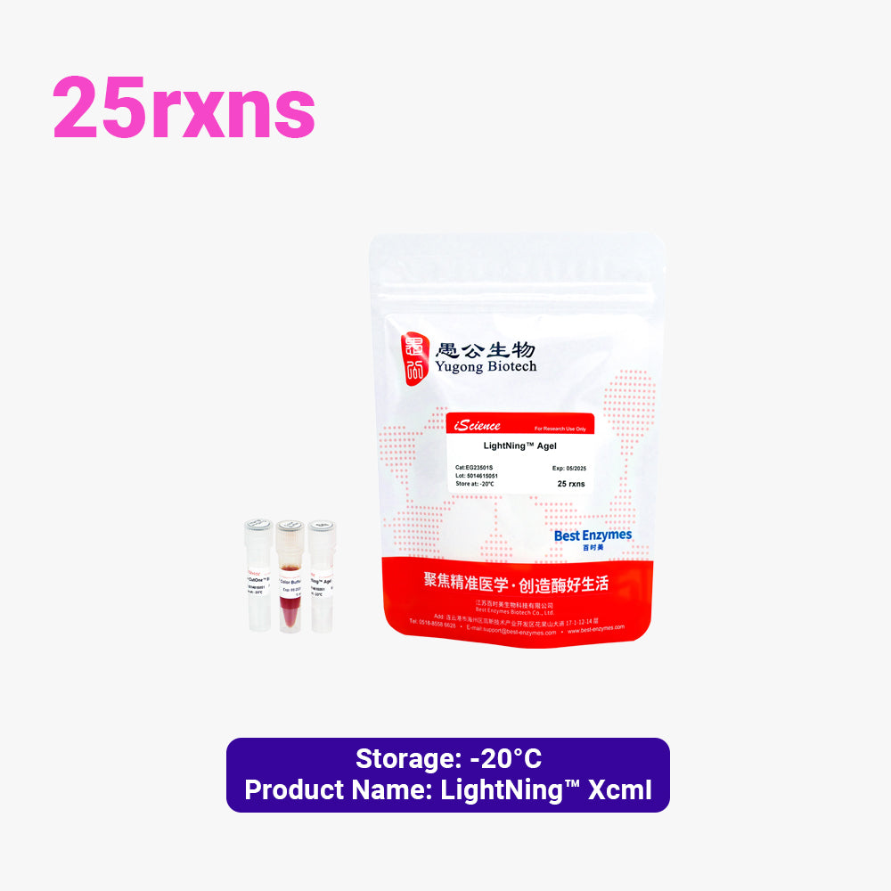 LightNing™ AgeI 限制酶，25 次反應，1 次反應/μl