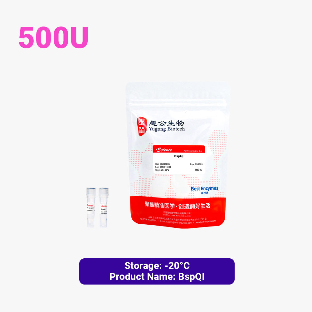 BspQI 限制酶，500 U，10 U/μl