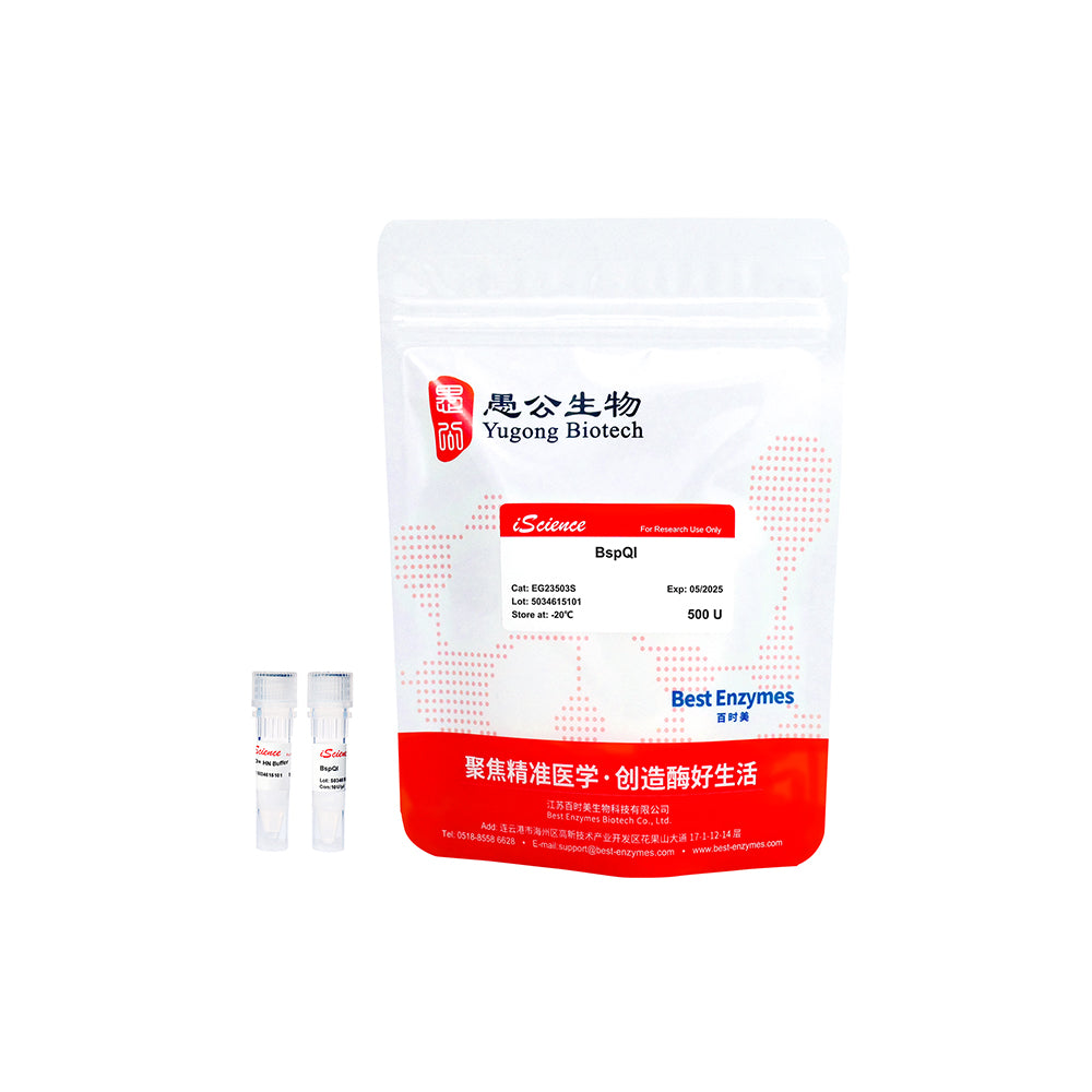 BspQI 限制酶，500 U，10 U/μl