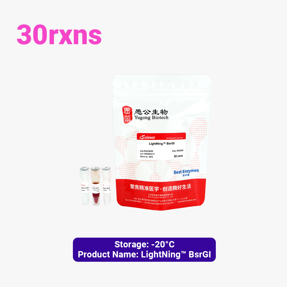 LightNing™ BsrGI 限制酶，30 次反應，1 次反應/μl