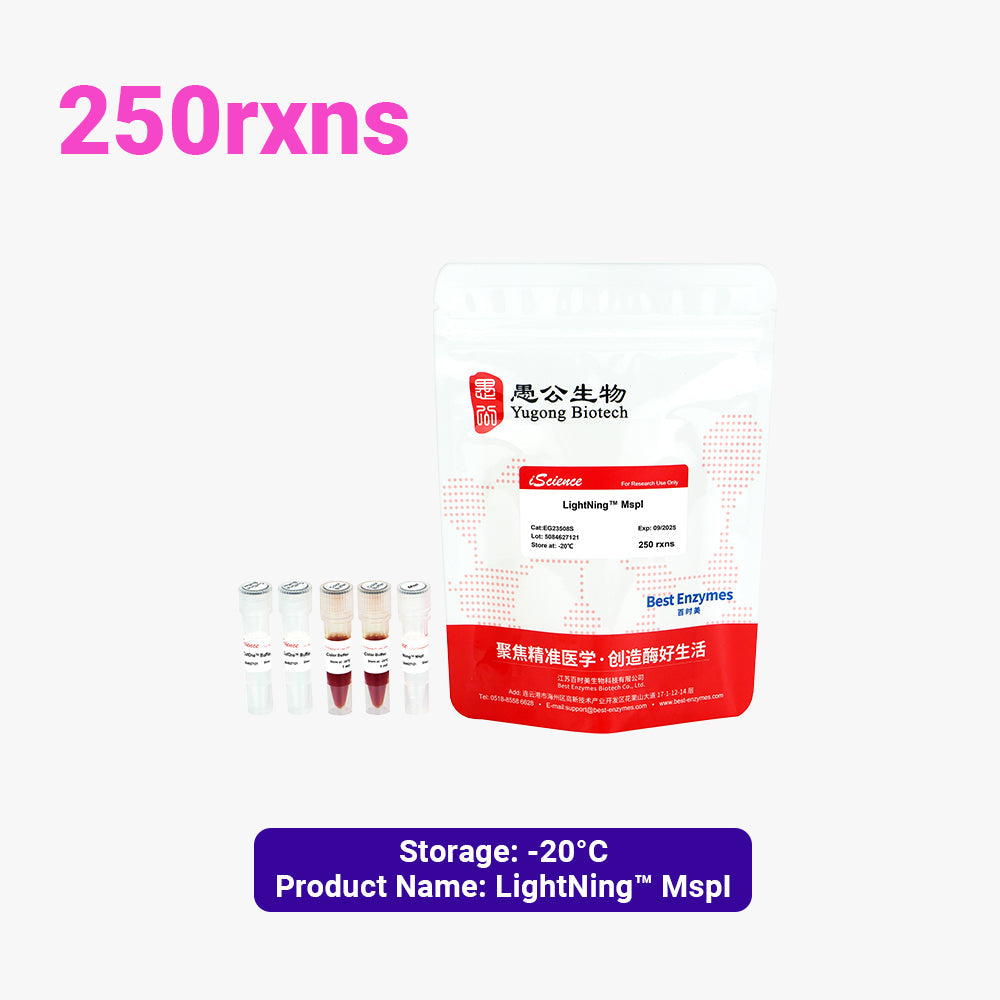 LightNing™ MspI 限制酶，250 次反應，1 次反應/μl