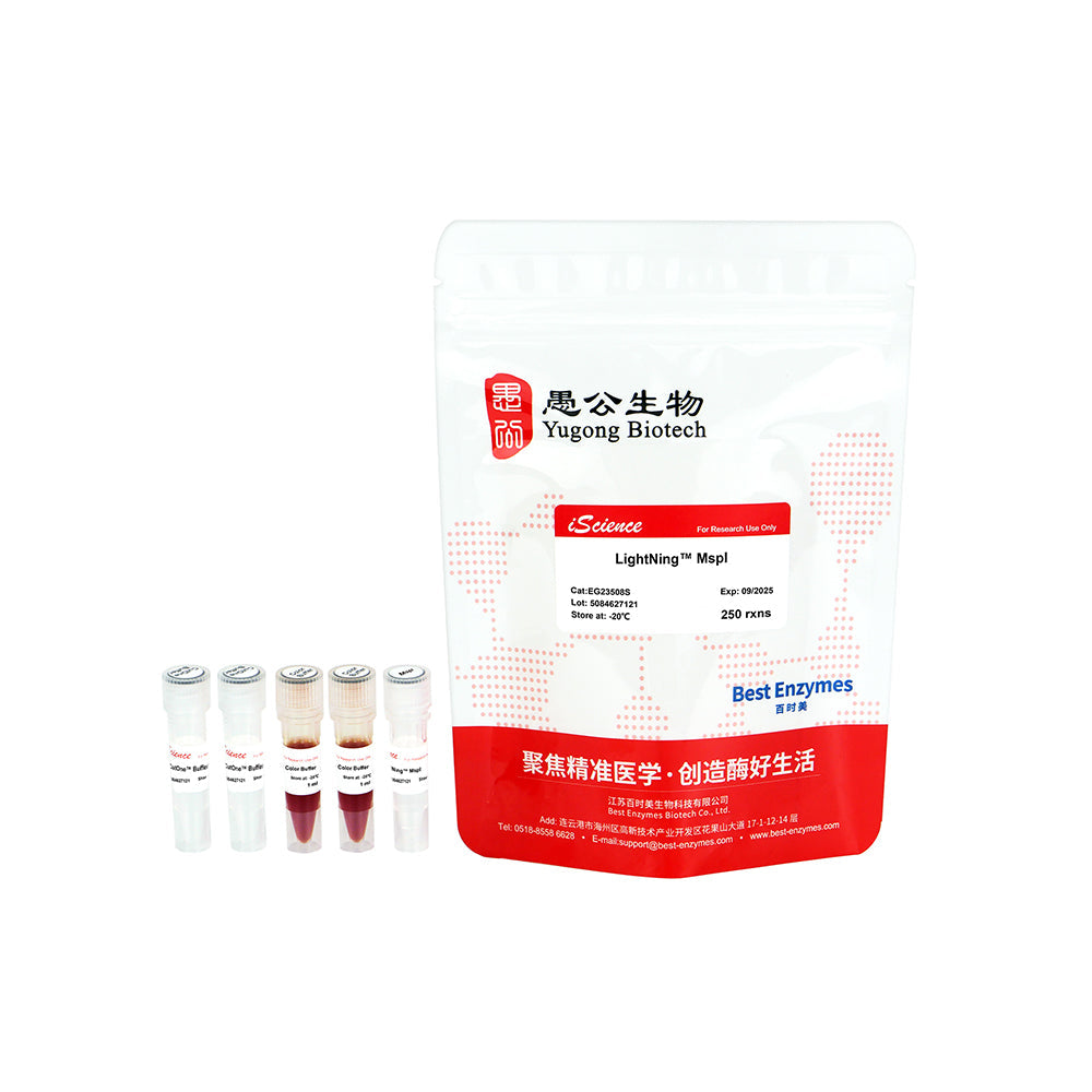 LightNing™ MspI 限制酶，250 次反應，1 次反應/μl
