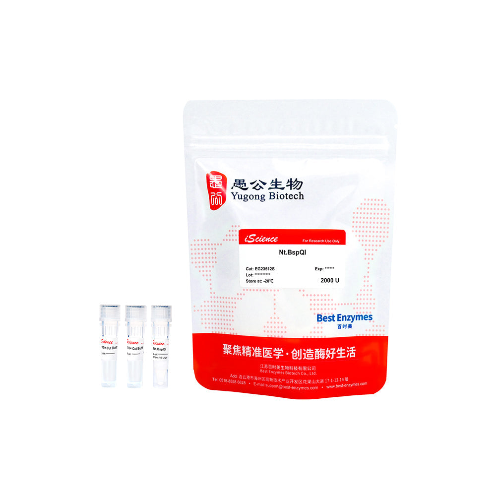 Nt.BspQI 限制酶，2000 U，10 U/μl