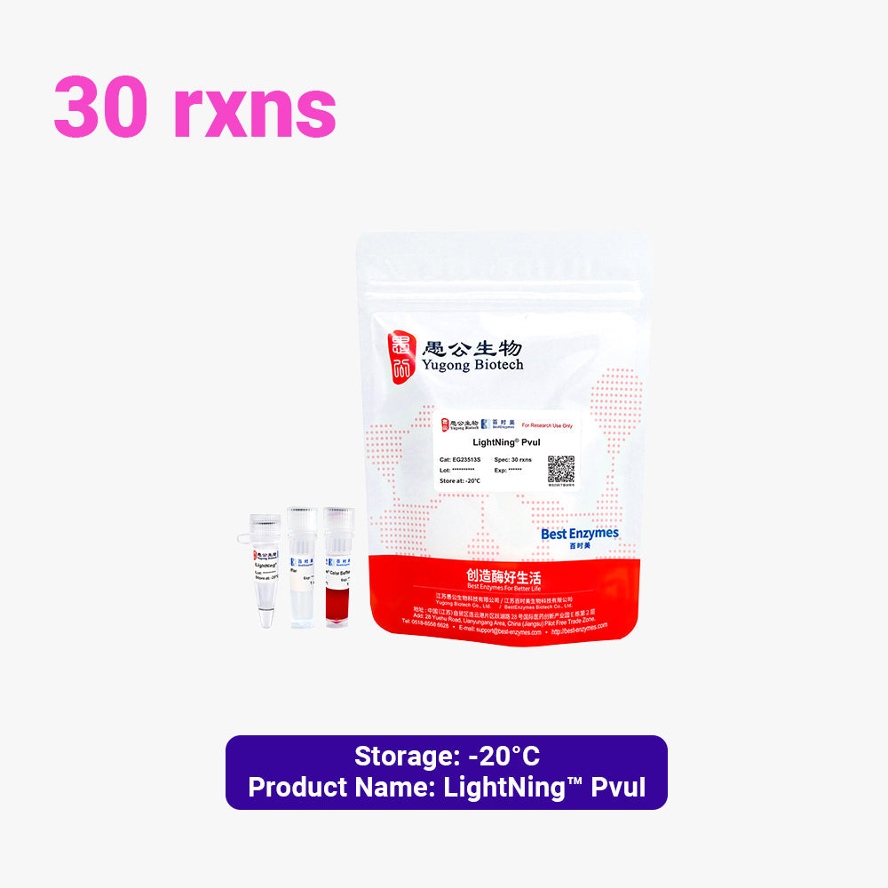 LightNing™ PvuI 限制酶，30 次反應，1 次反應/μl