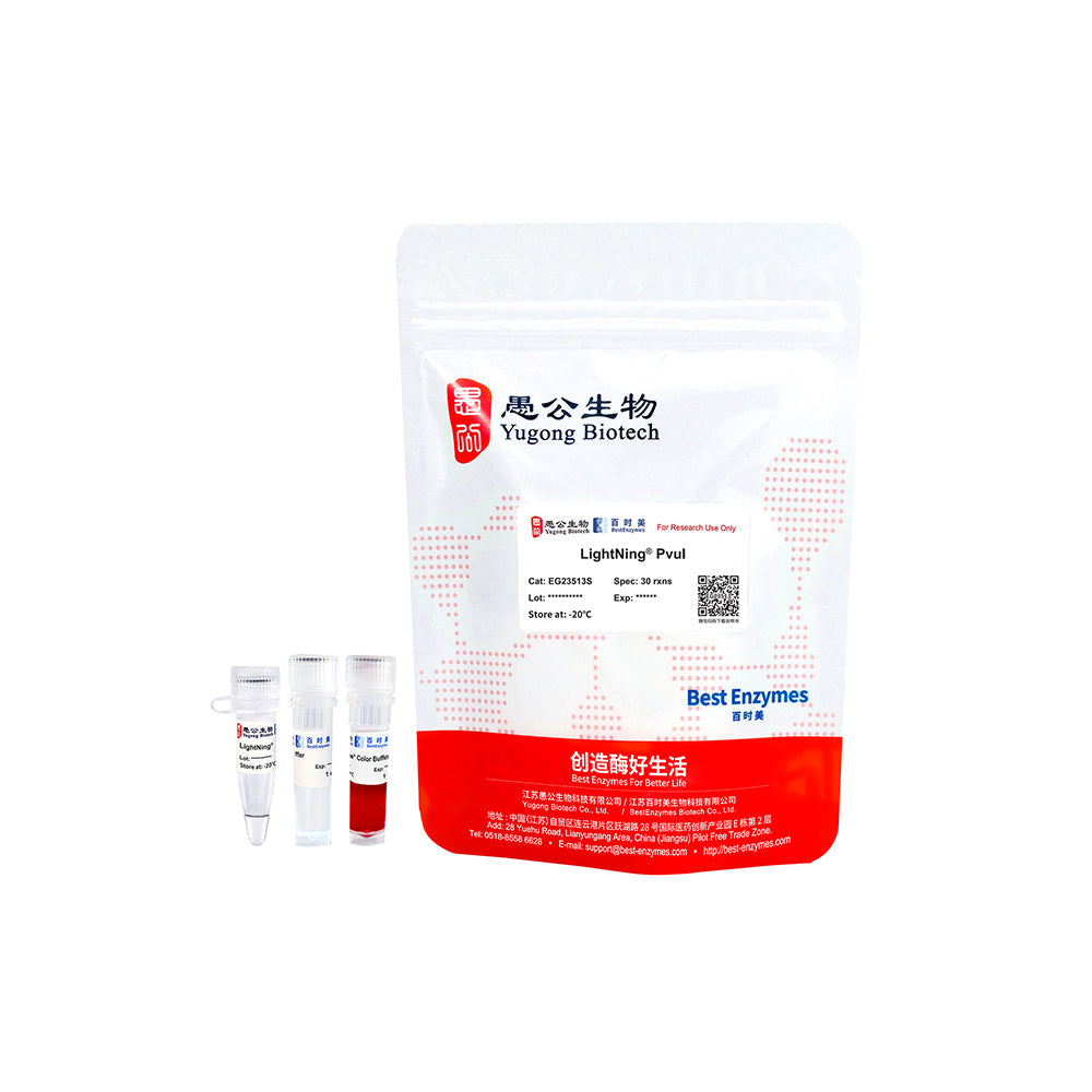 LightNing™ PvuI 限制酶，30 次反應，1 次反應/μl