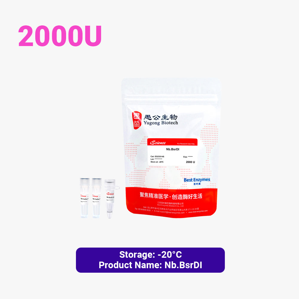 Nb.BsrDI限制性酶，2000 U，10 U/μl