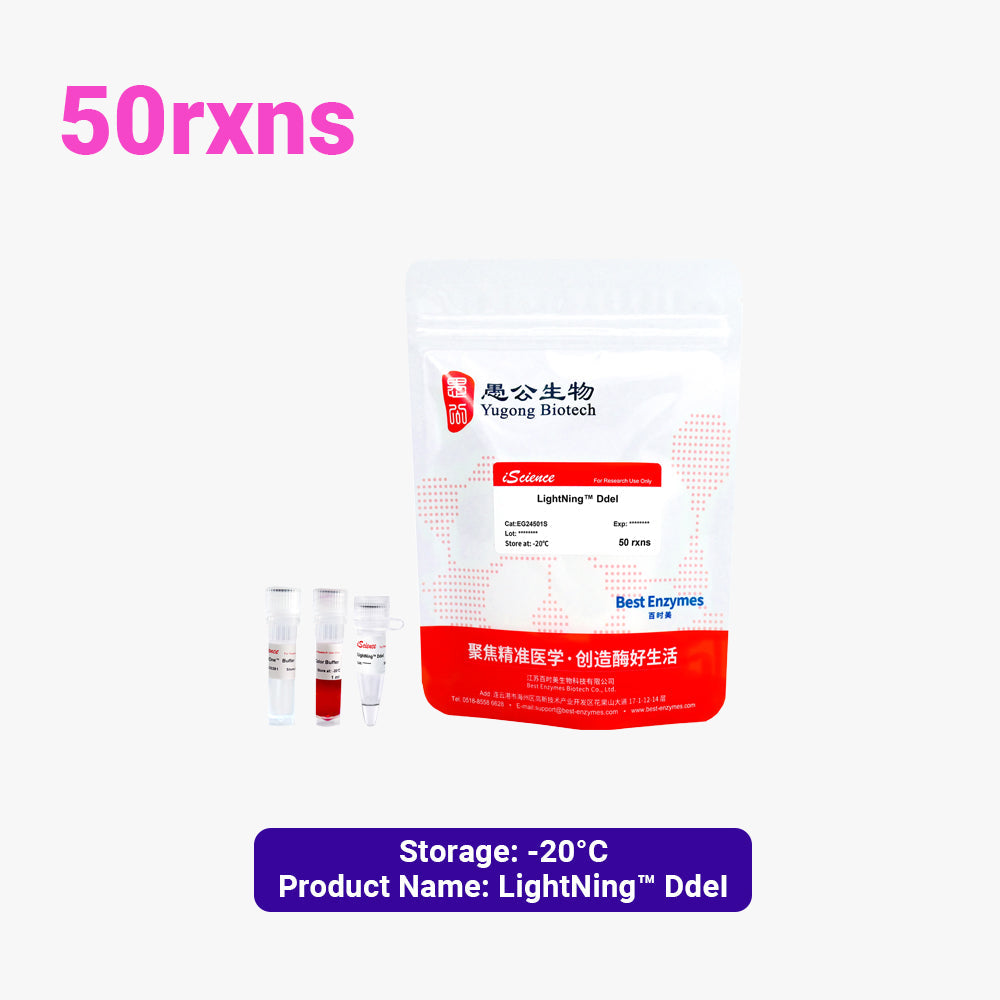 LightNing™ DdeI 限制酶，50 次反應，1 次反應/μl