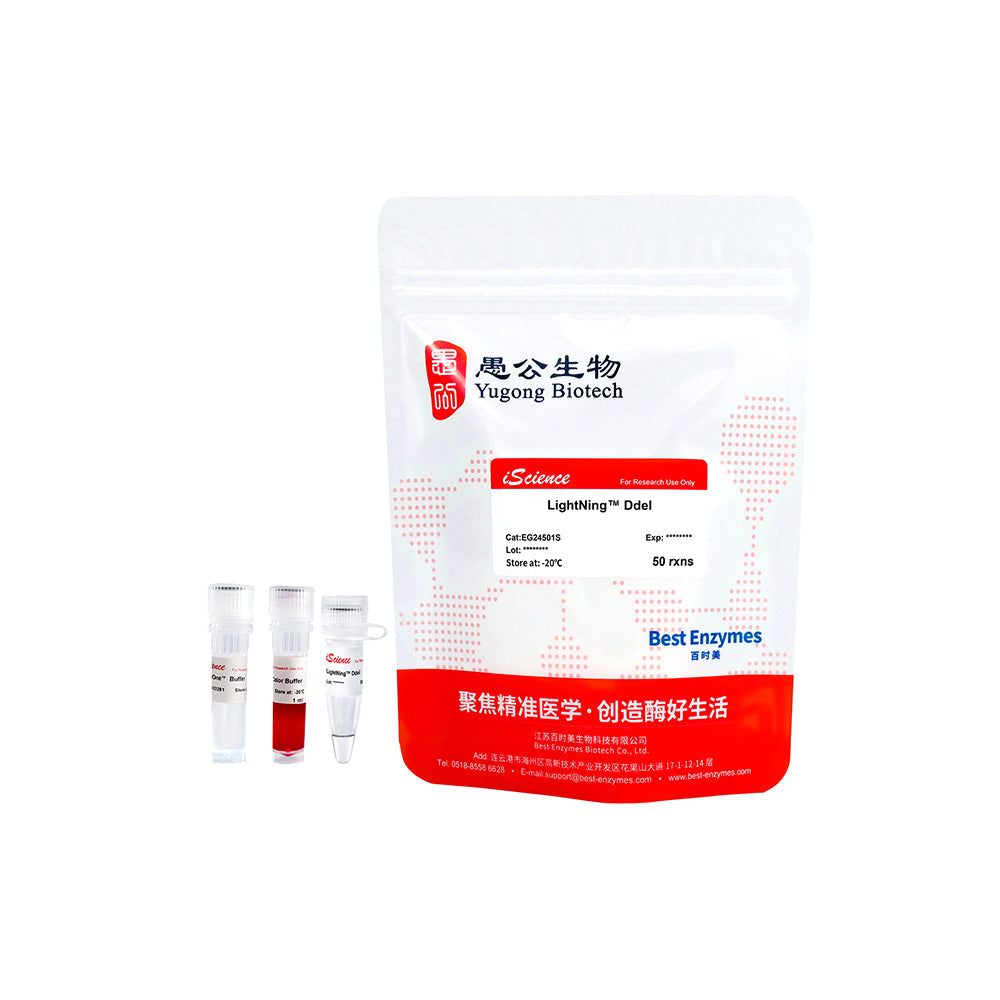 LightNing™ DdeI 限制酶，50 次反應，1 次反應/μl