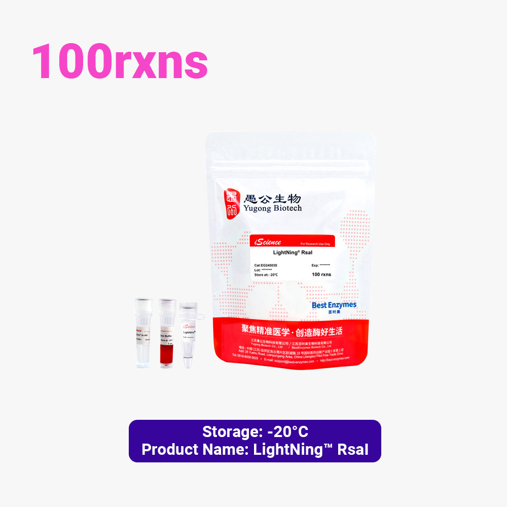 LightNing™ RsaI 限制酶，100 次反應，1 次反應/μl