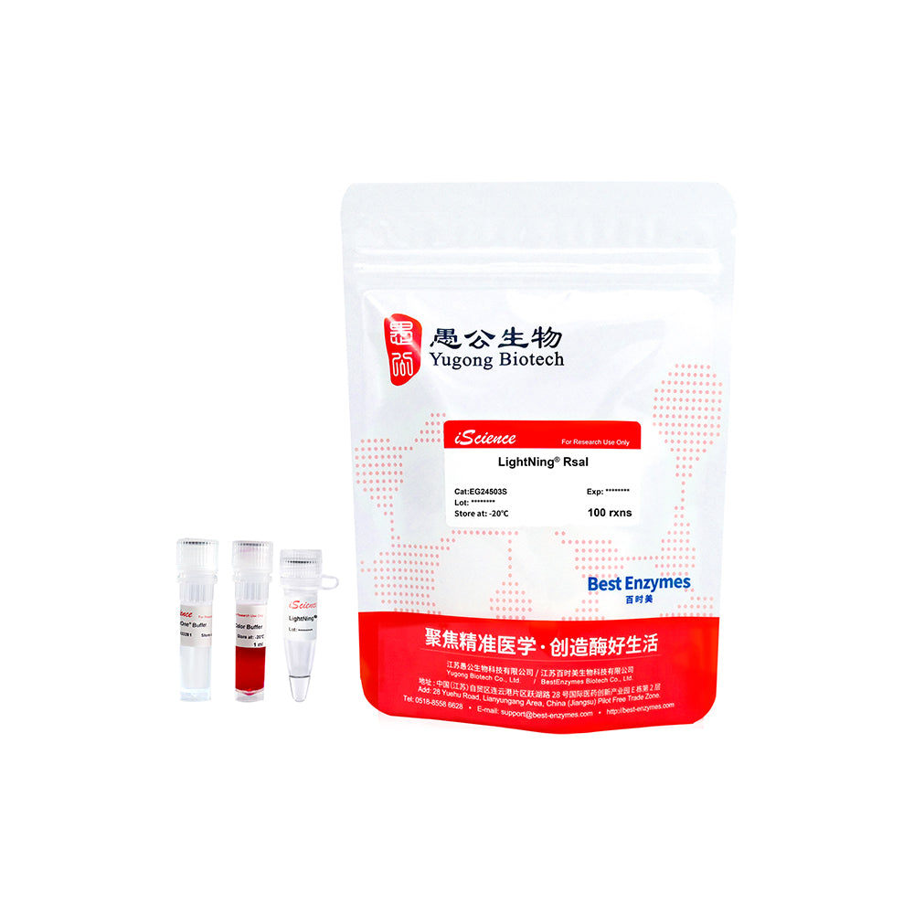 LightNing™ RsaI 限制酶，100 次反應，1 次反應/μl