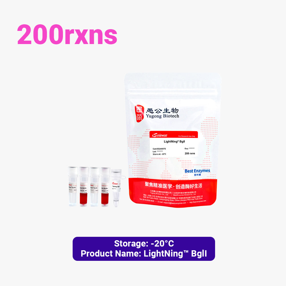 LightNing™ BglI 限制酶，200 次反應，1 次反應/μl