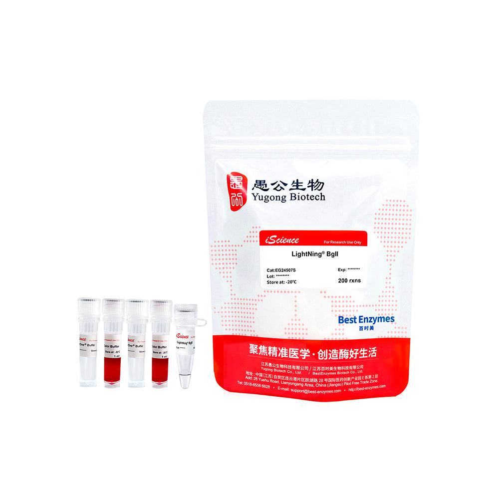 LightNing™ BglI 限制酶，200 次反應，1 次反應/μl