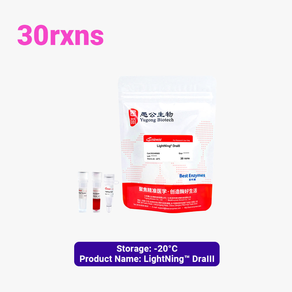 LightNing™ DraIII 限制酶，30 次反應，1 次反應/μl