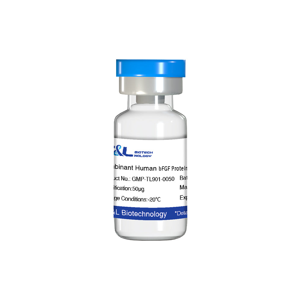 Recombinant Human bFGF Protein, 50μg
