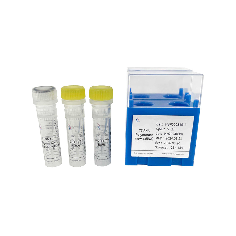 T7 RNA 聚合酶（低 dsRNA），100 μL
