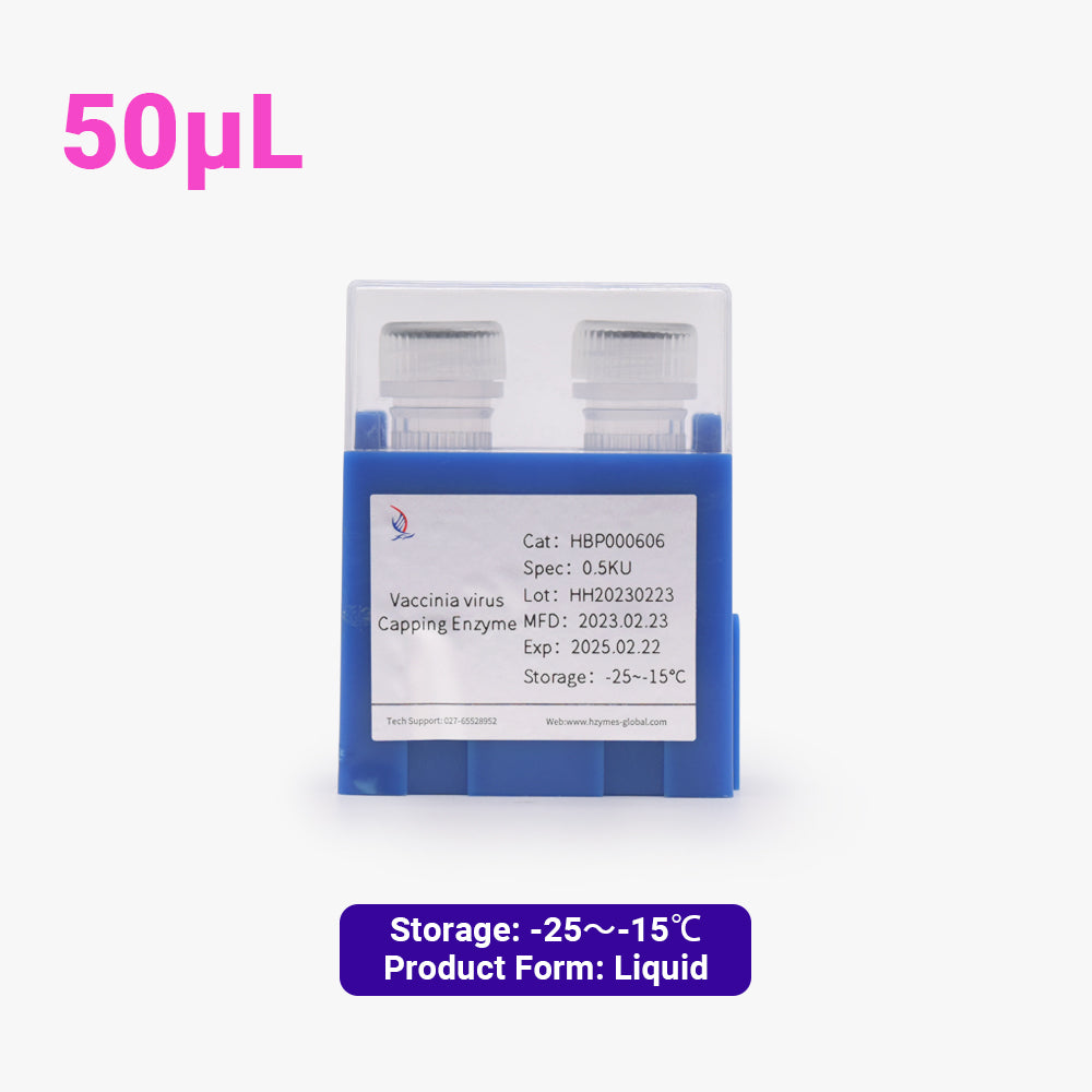 痘苗病毒封蓋酶，10單位/μL活性，50μL