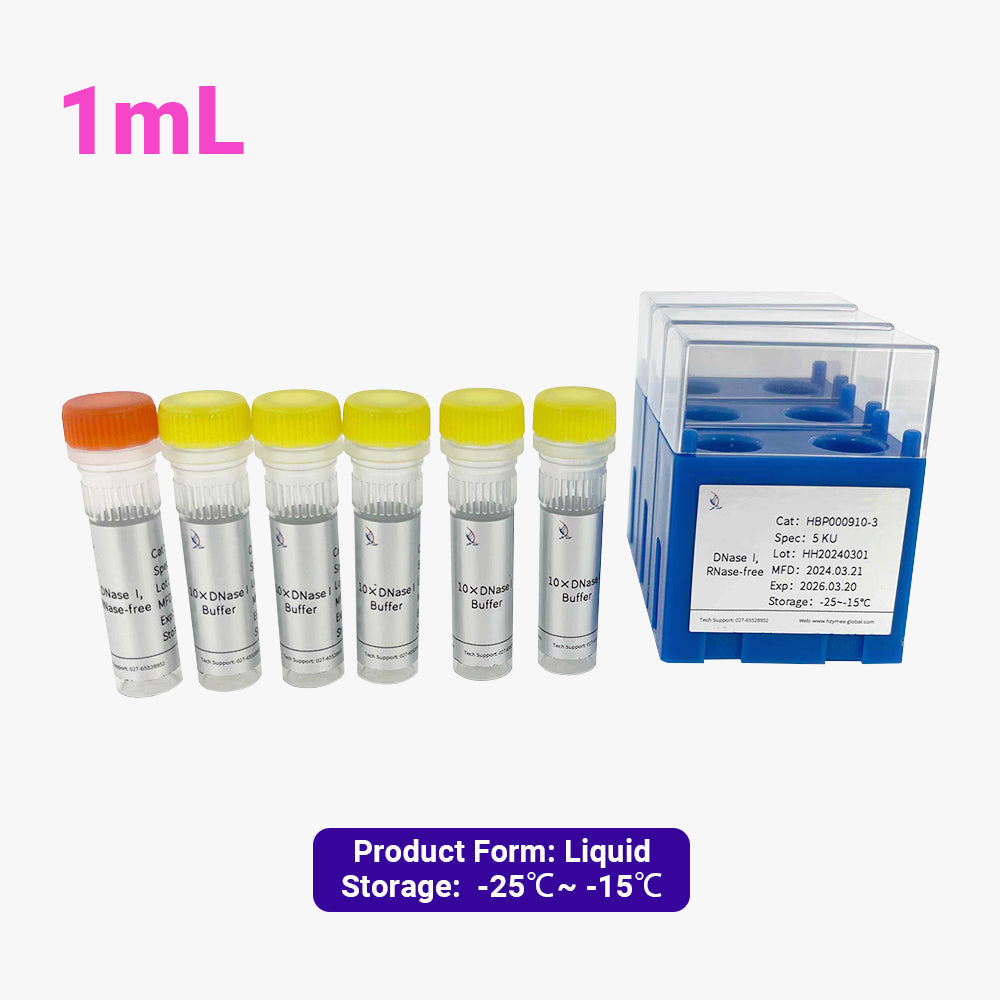 DNase I，5 單位/μL 活性，1 mL