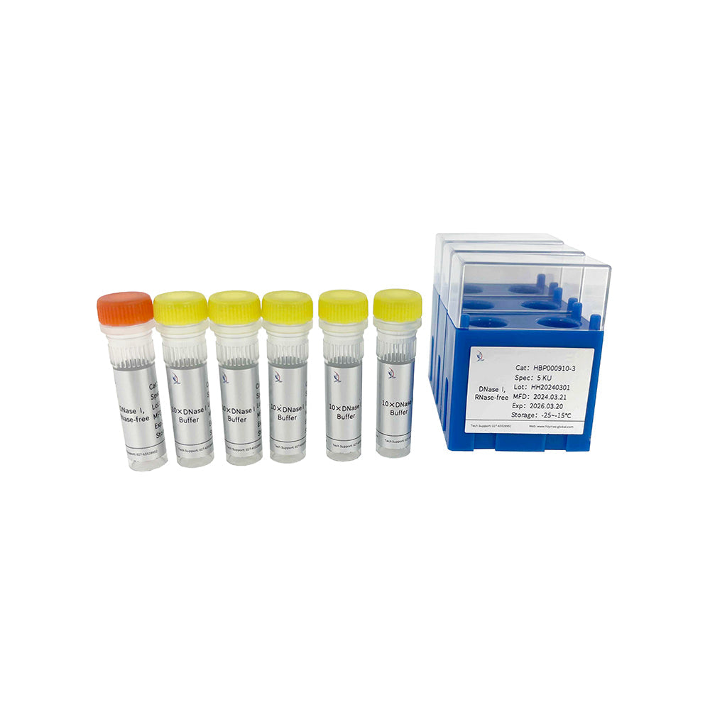 DNase I，5 單位/μL 活性，1 mL