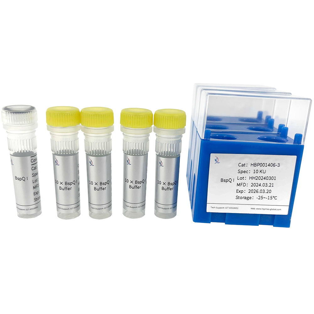 BspQI，10 單位/μL 活性，1 mL