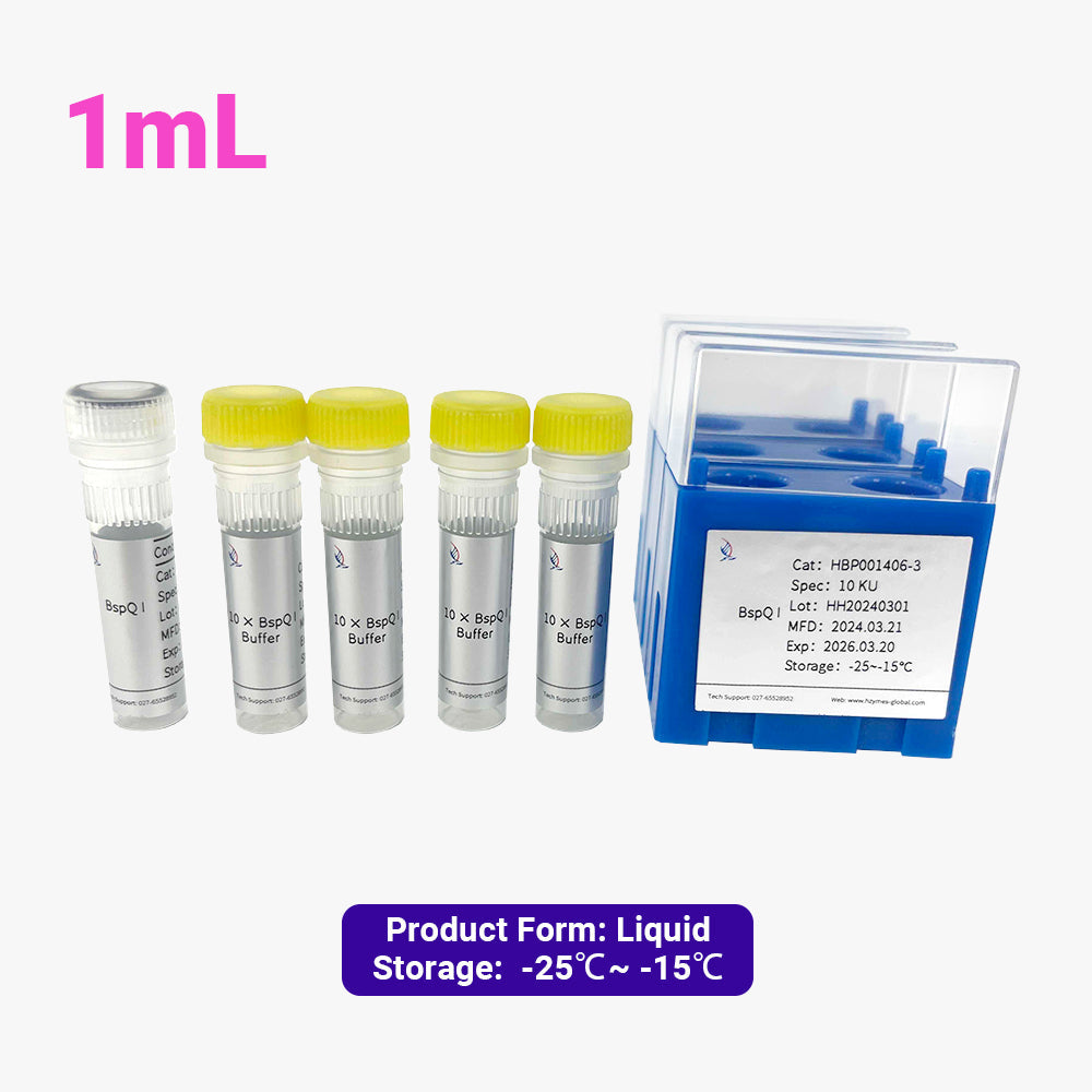 BspQI，10 單位/μL 活性，1 mL
