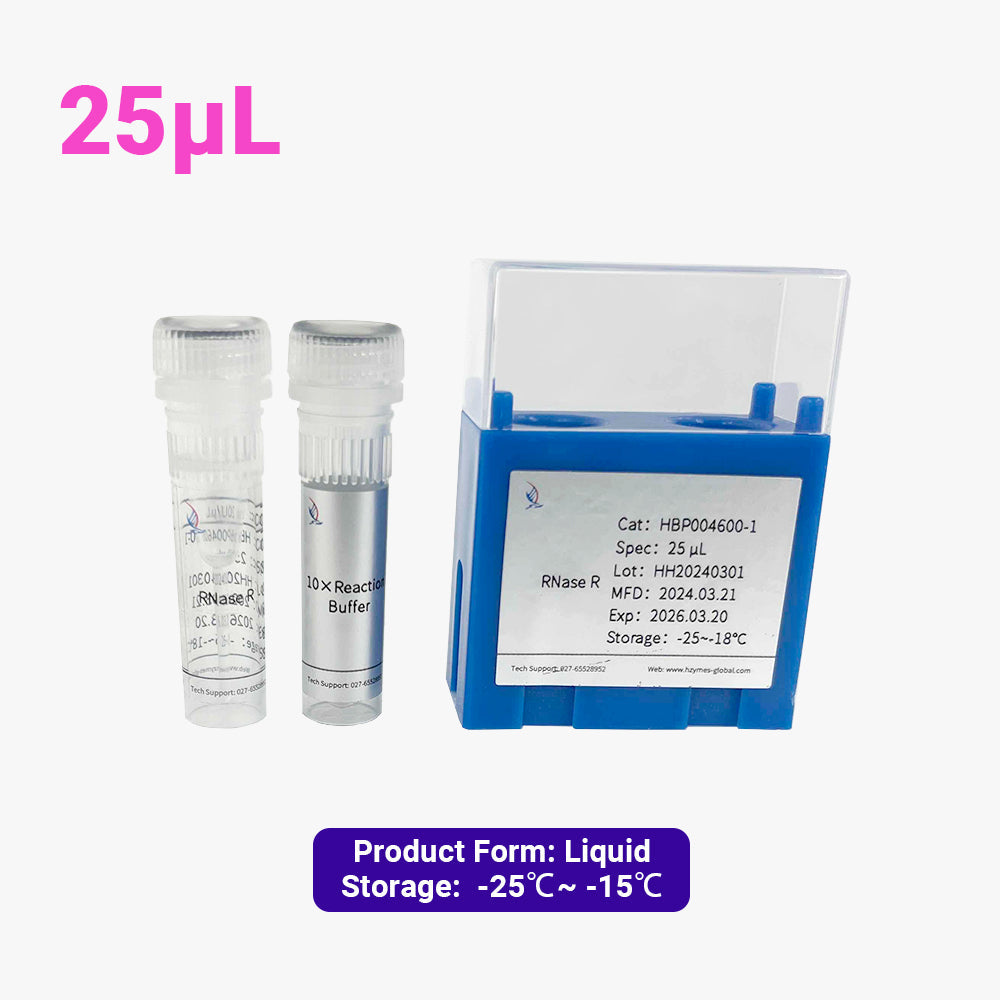 RNase R，20 單位/μL 活性，25 μL