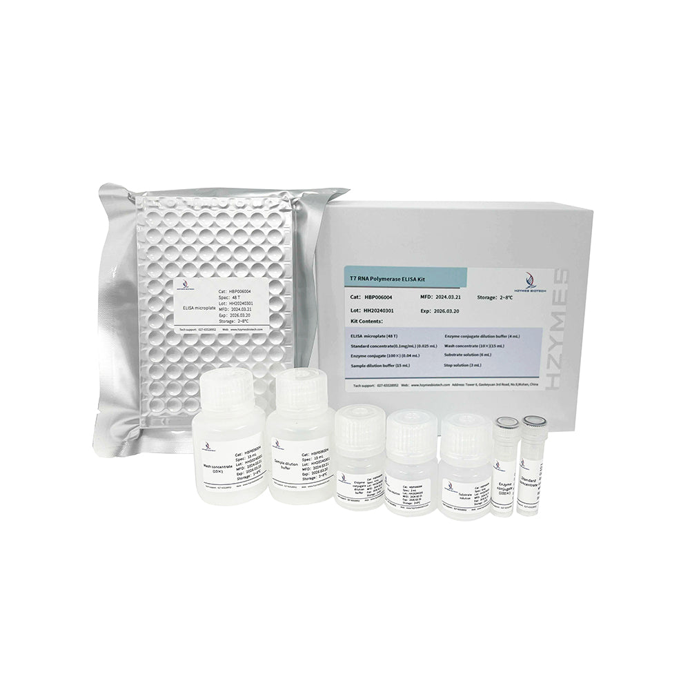 T7 RNA 聚合酶 ELISA 試劑盒，48 次測試