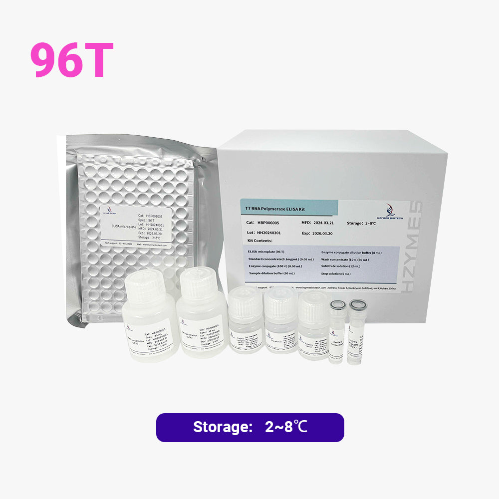 T7 RNA 聚合酶 ELISA 試劑盒，96 次測試