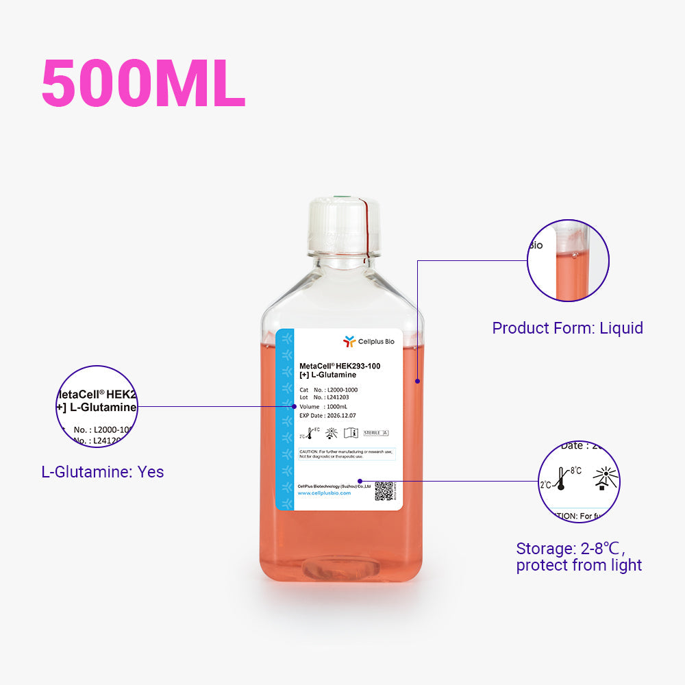 MetaCell® HEK293-100，500ml 液體