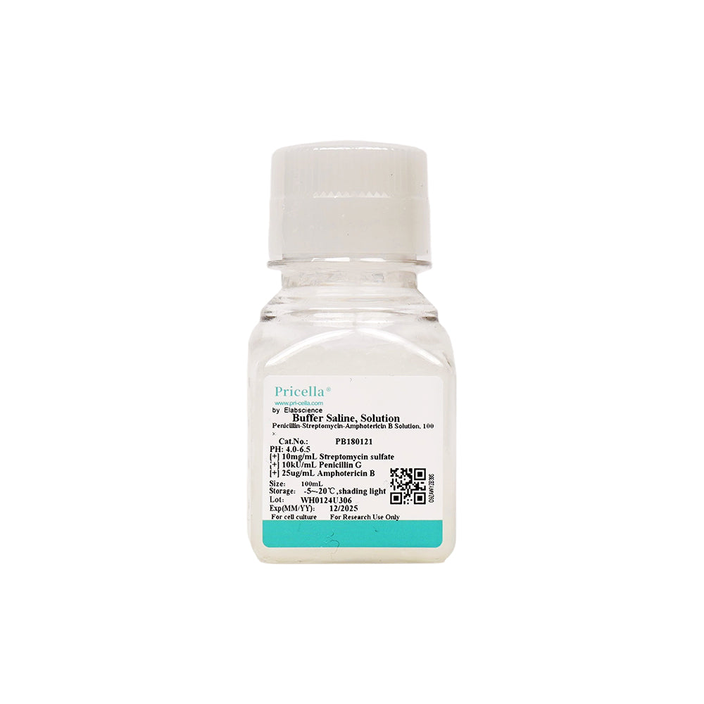 Penicillin-Streptomycin-Amphotericin B Solution, 100 ×, 100mL