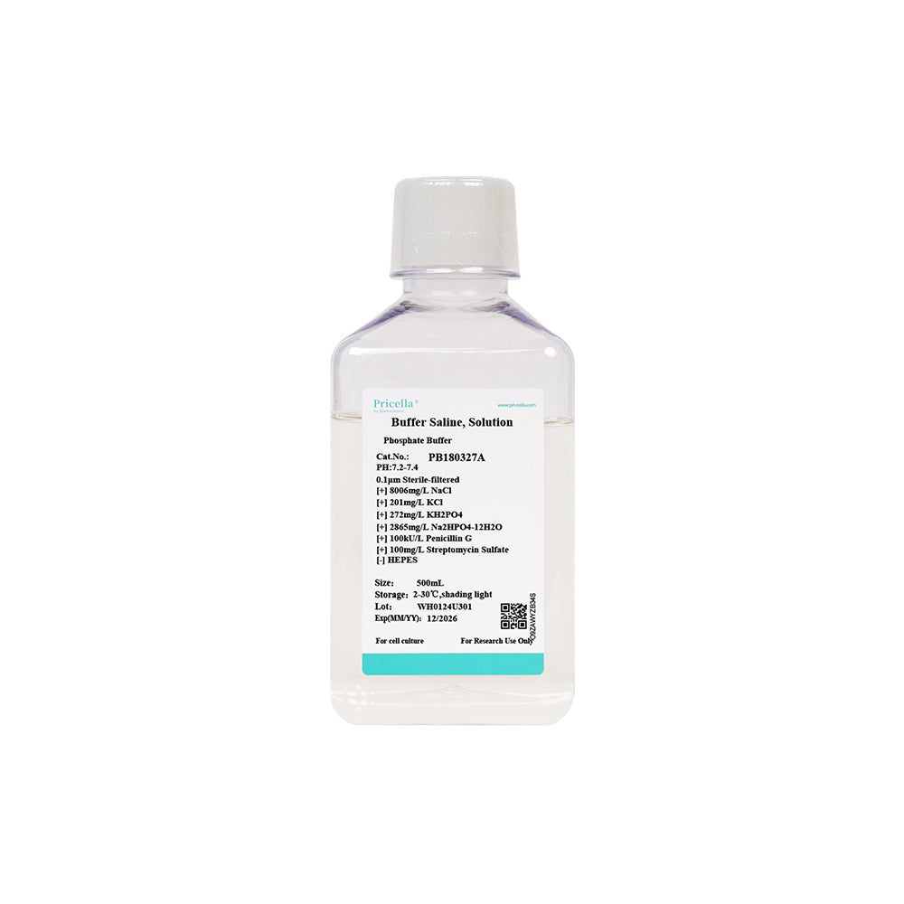 Phosphate Buffer (PBS, 1 ×), with P/S, 500mL