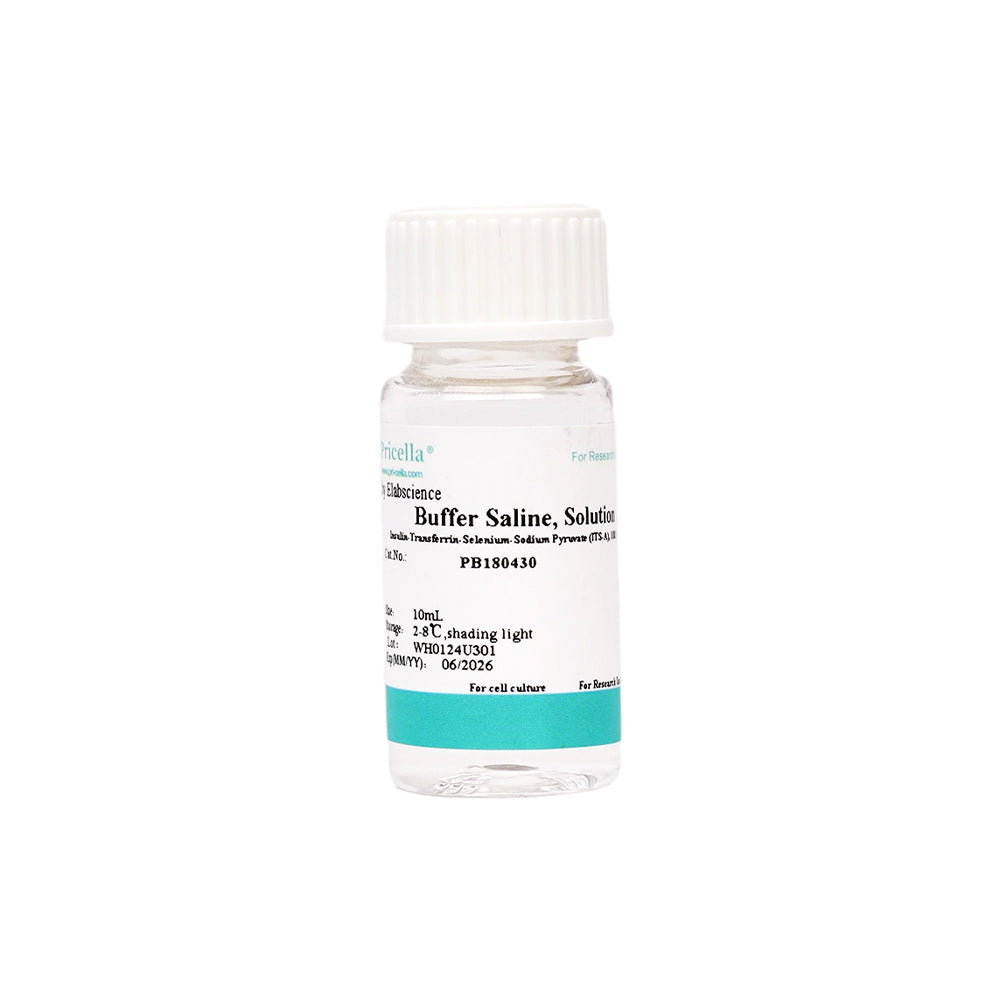 Insulin-Transferrin-Selenium-Sodium Pyruvate (ITS-A), 100 ×, 10mL