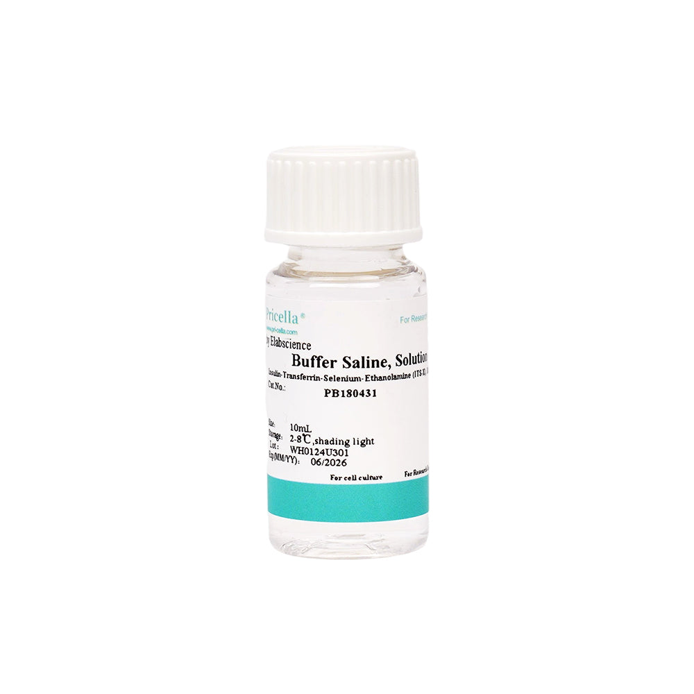 Insulin-Transferrin-Selenium-Ethanolamine (ITS-X), 100 ×, 10mL