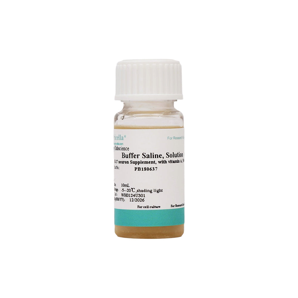 B-27×neuron×Supplement, ×with×vitamin×A, 50 × , 10ml