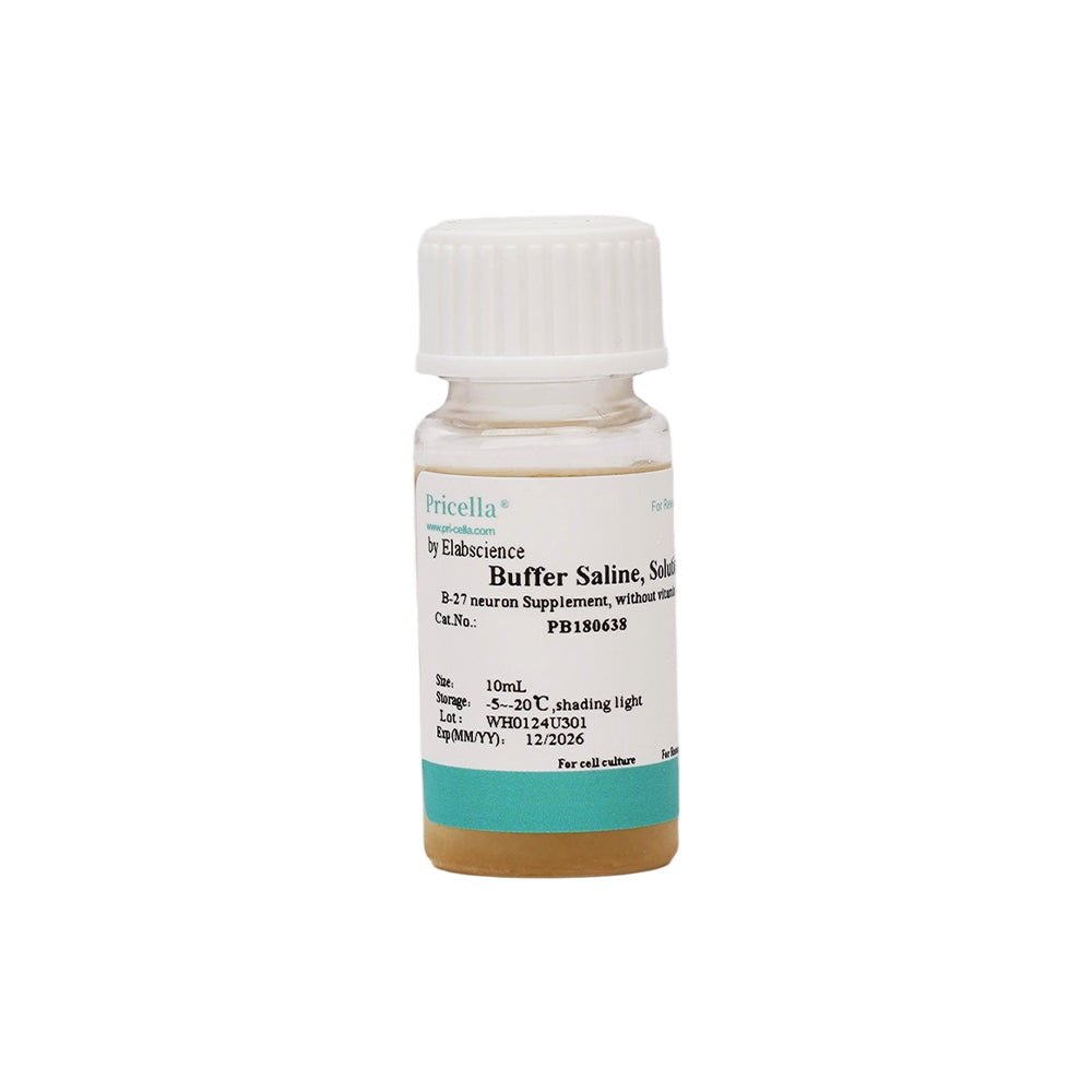 B-27×neuron×Supplement, without×vitamin×A, 50 ×, 10ml