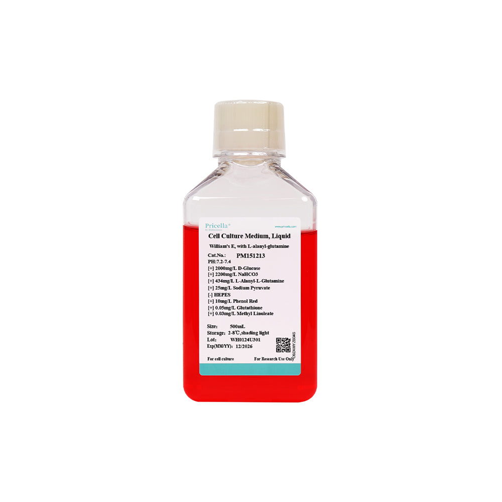 William's E, with L-alanyl-glutamine, 500mL