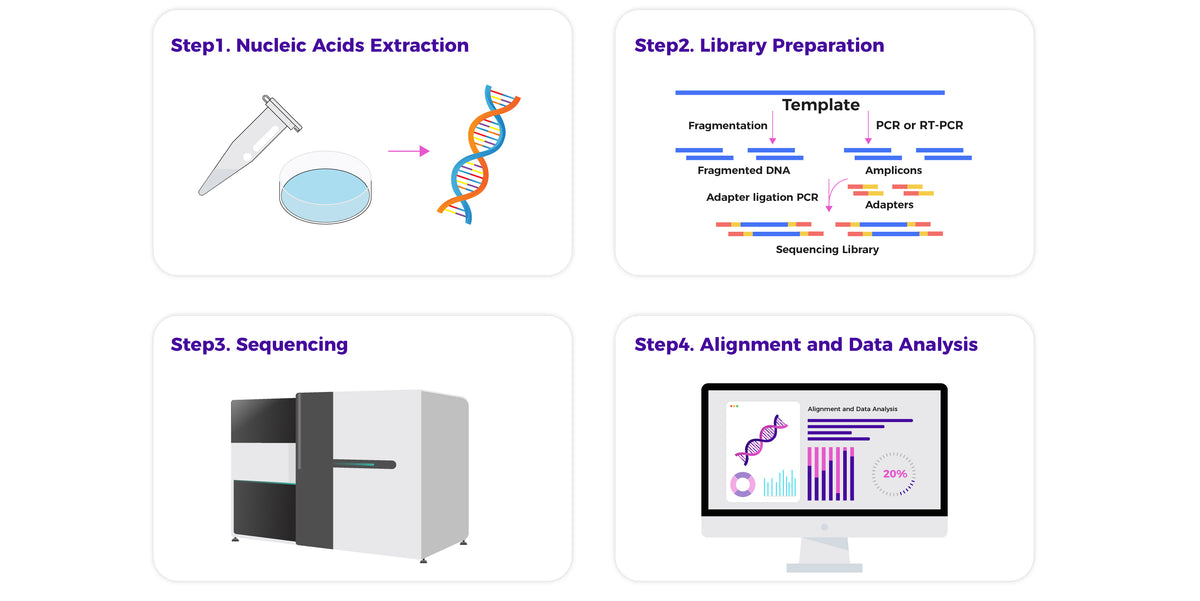 Library Prep Overview Simple Sequencing & Library Preparation